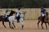 Oxford Polo 2023_01_08 0121